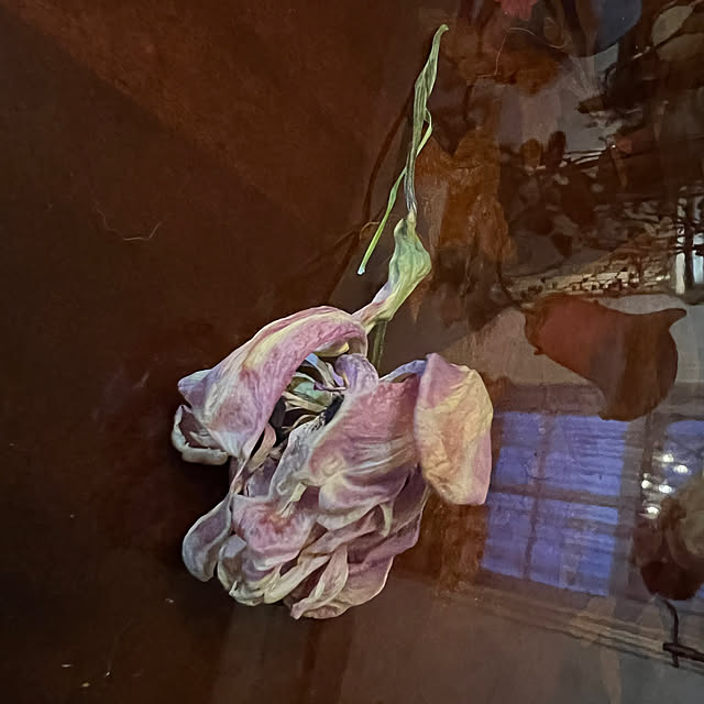 AYUKOさんの部屋