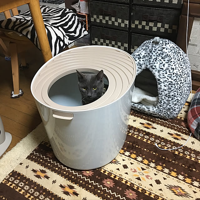 kmakkyiさんの実例写真