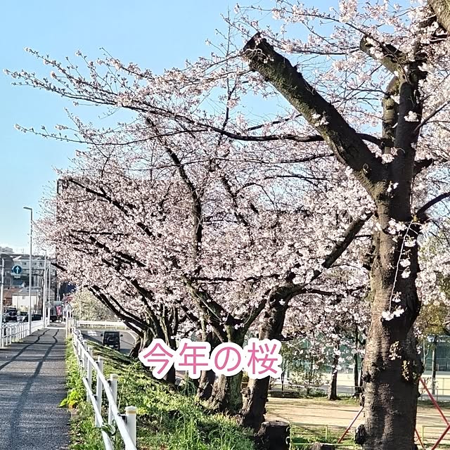 mi-saさんの部屋