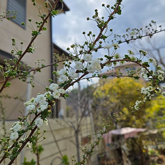 min_nimさんの部屋