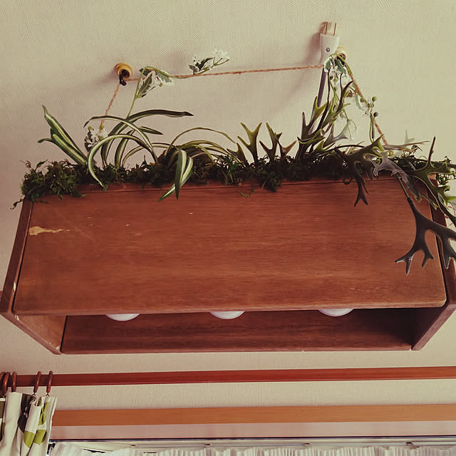 Masaさんの実例写真