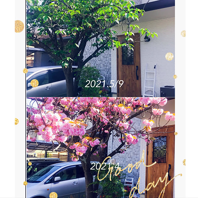 rizumu4649さんの実例写真