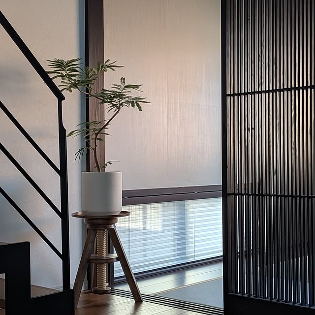 kumijiさんの実例写真