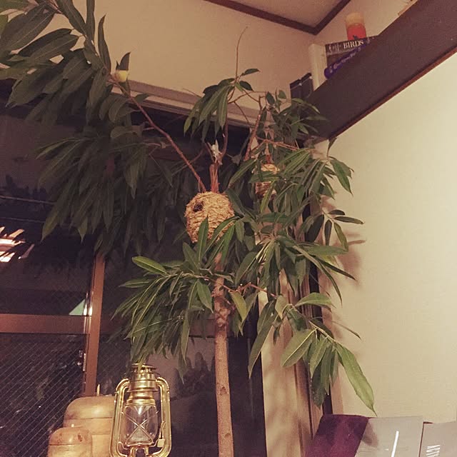 Tomomiさんの実例写真