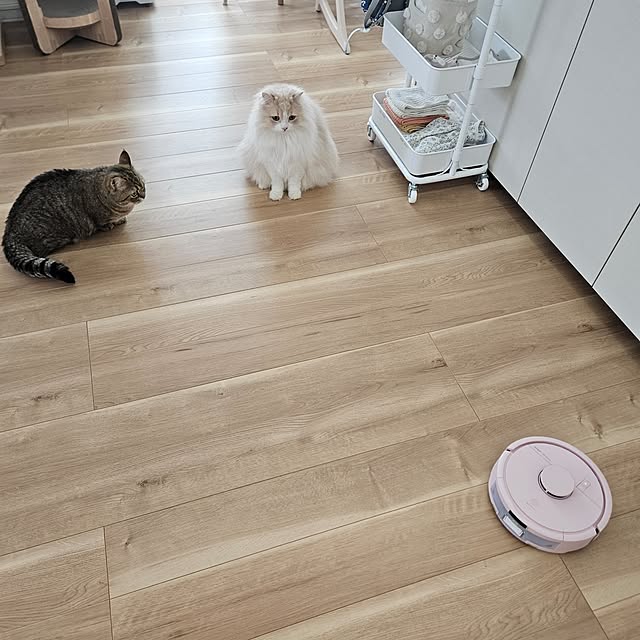 annyaさんの部屋
