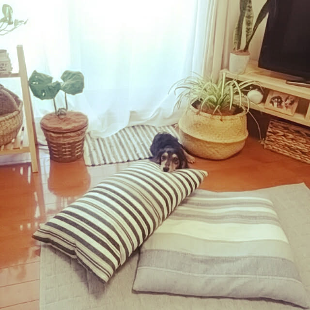 reonさんの実例写真