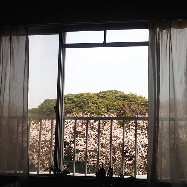 fuwa_hitoiroplusさんの実例写真