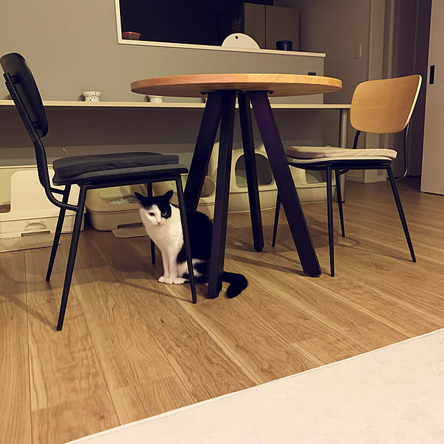 neko_daisukiさんの実例写真