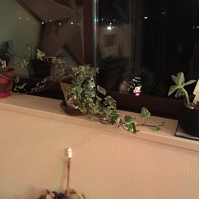 tsuyopipさんの実例写真