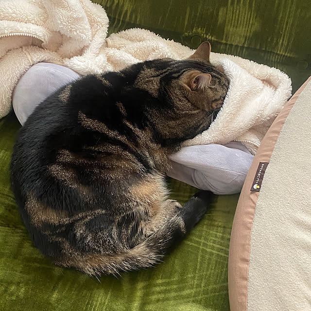 mikomaruさんの実例写真