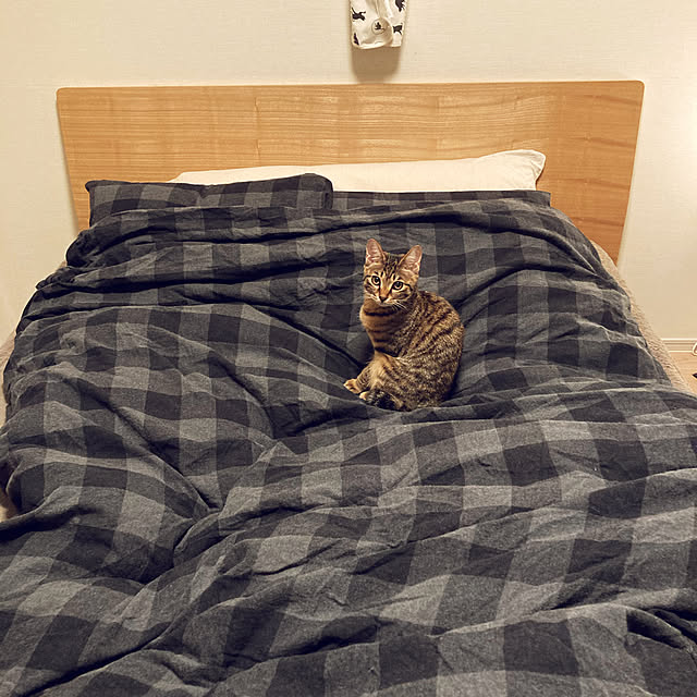 pchさんの実例写真