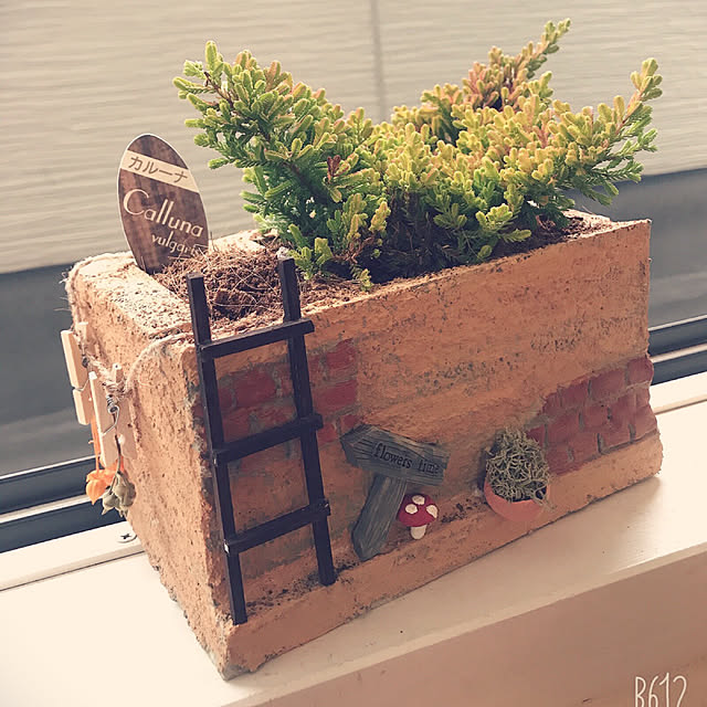 uamさんの実例写真