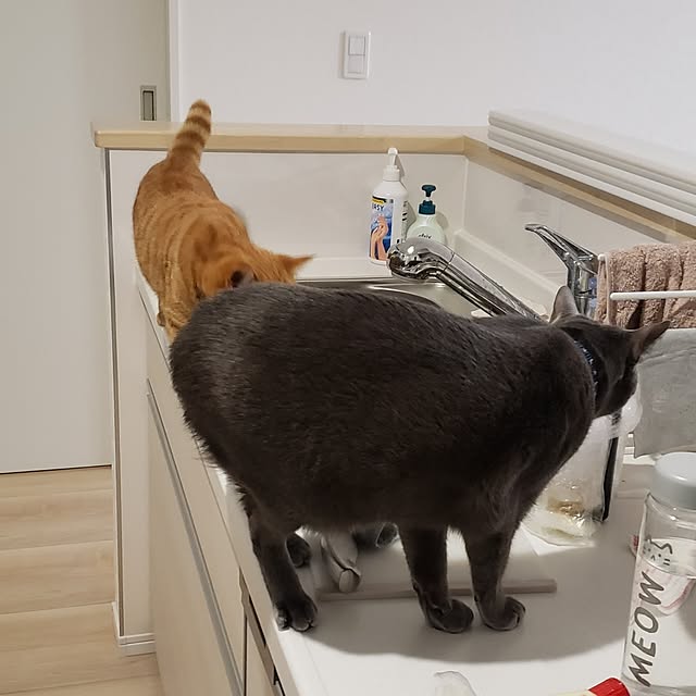 asahinaさんの実例写真