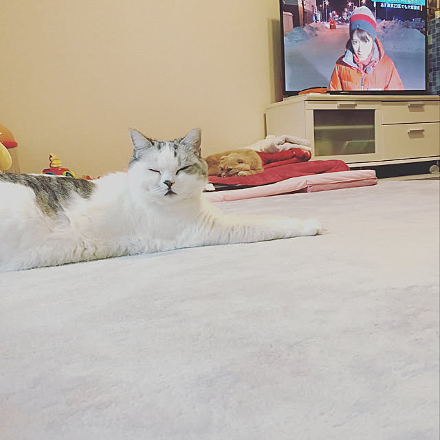 erichanさんの実例写真
