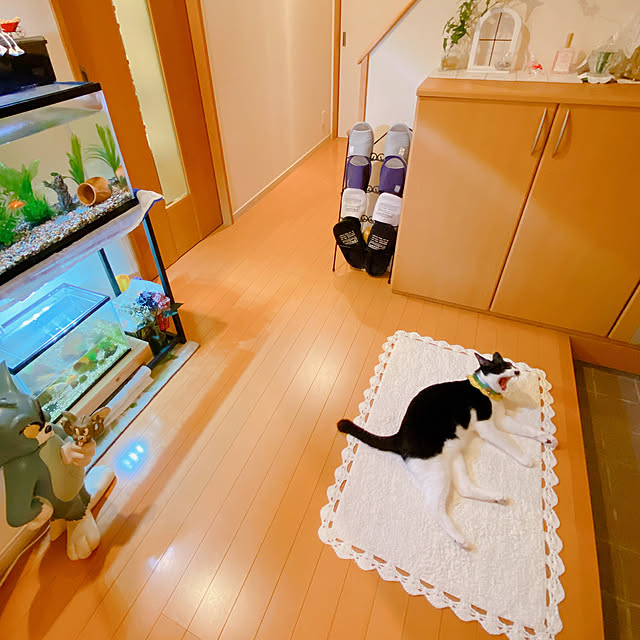moolさんの実例写真