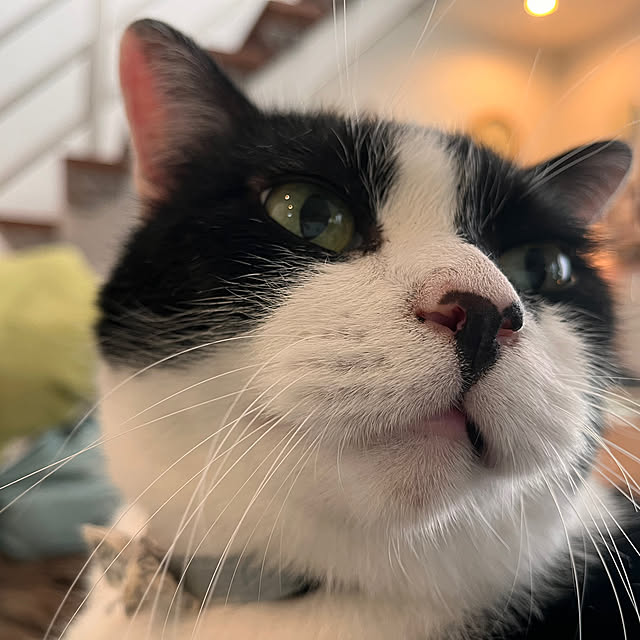 kojimasaさんの部屋