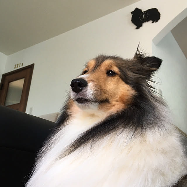 erumaryさんの実例写真