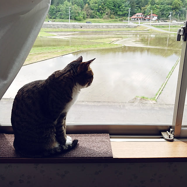 nachiさんの実例写真