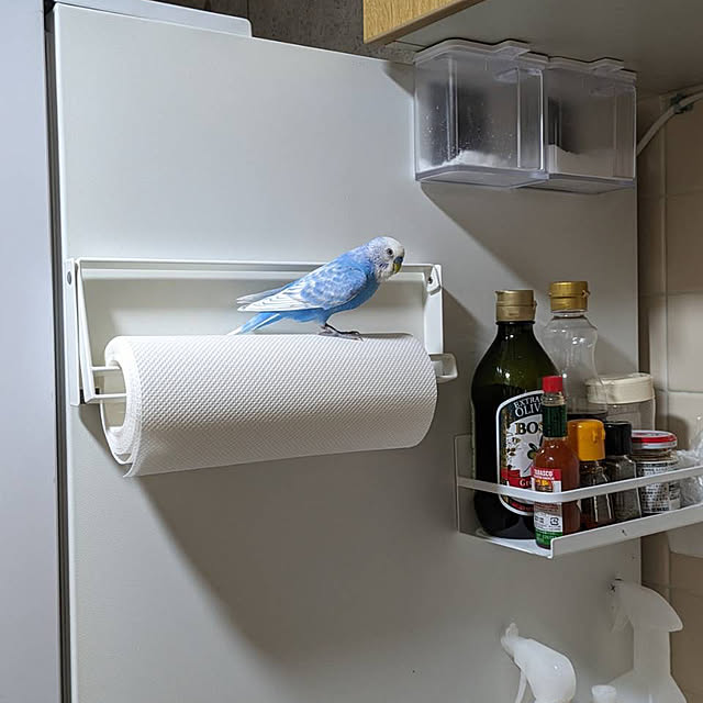 toratanさんの実例写真