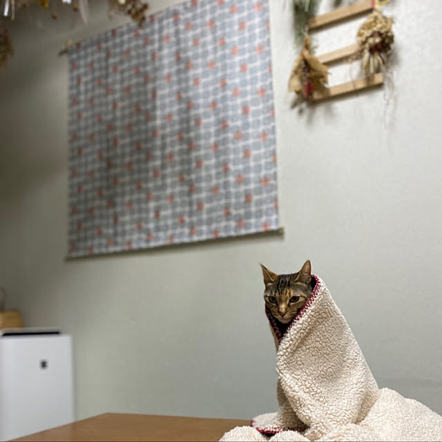 mohhaさんの実例写真
