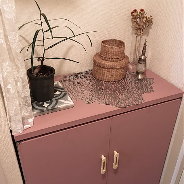 観葉植物/DIY/玄関/入り口のインテリア実例 - 2021-02-03 19:12:18