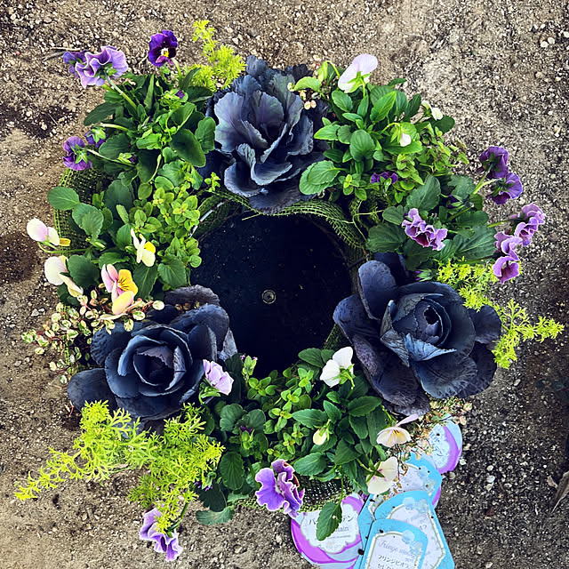 yukarin-gardenさんの実例写真