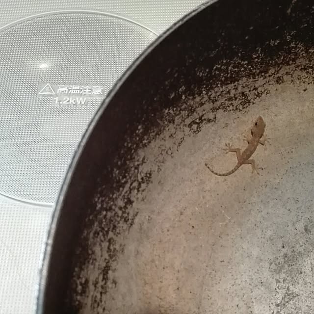 kikuさんの実例写真