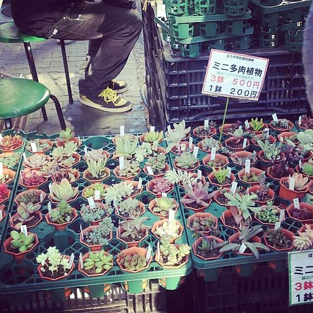 lovely-reiさんの実例写真
