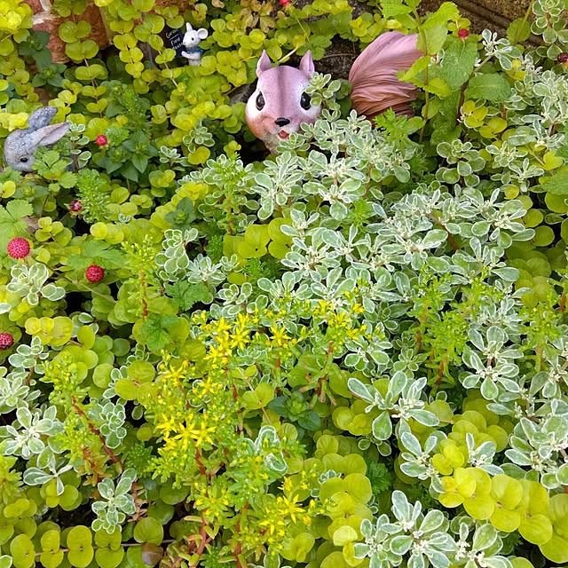 25Moondropsさんの実例写真