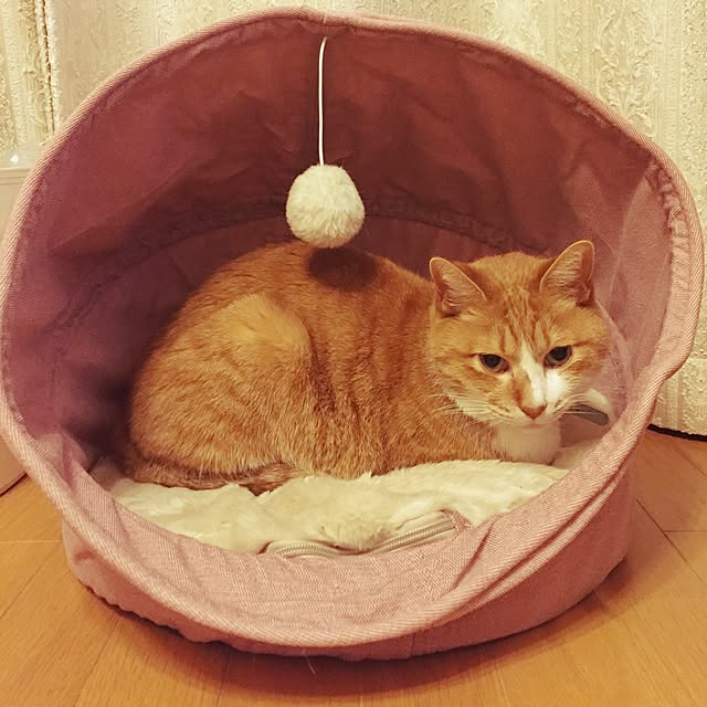 lavie0125さんの実例写真
