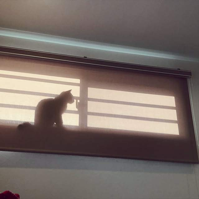 Pisaさんの実例写真