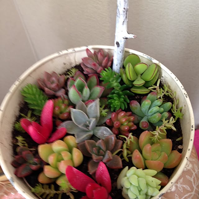 Yashikiさんの実例写真