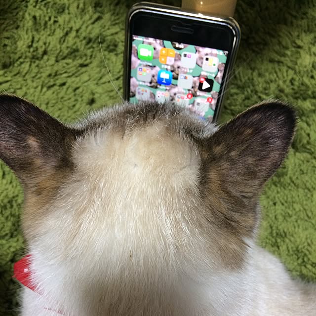 nachuさんの実例写真