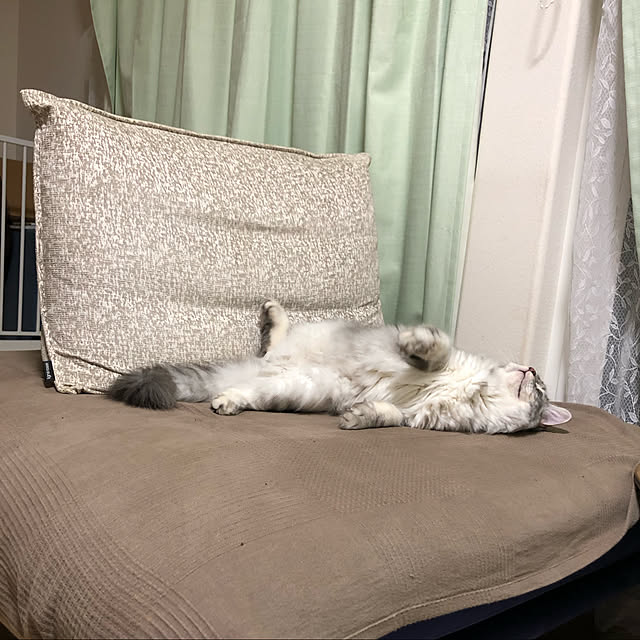 ecopanaさんの実例写真