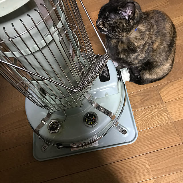 gggさんの実例写真