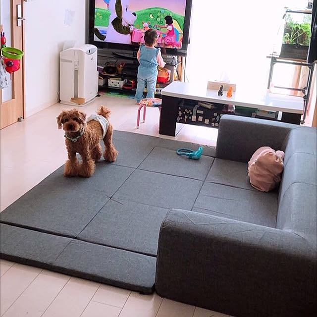 部屋全体のインテリア実例 - 2020-03-02 13:04:51