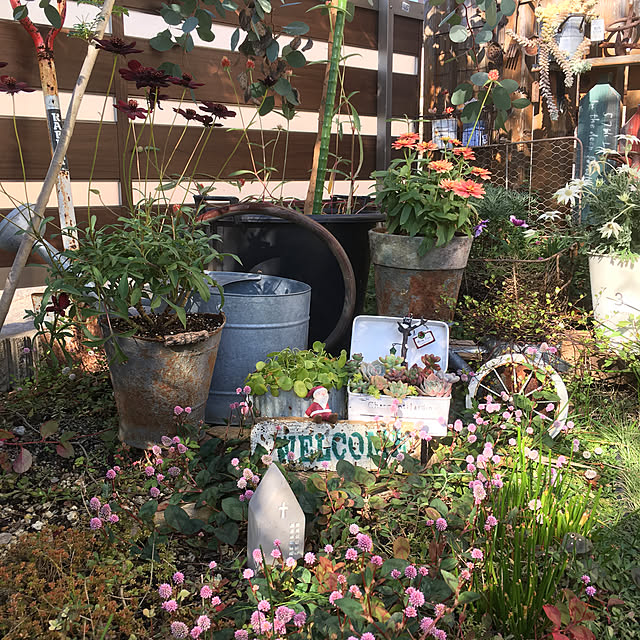 miyo419さんの実例写真