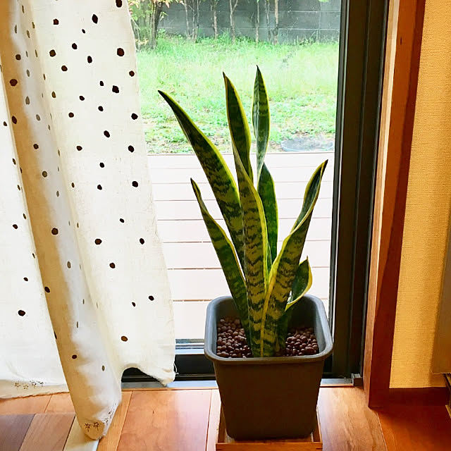 riichさんの実例写真