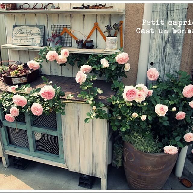 Milyさんの実例写真