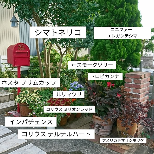 kohmarlさんの実例写真