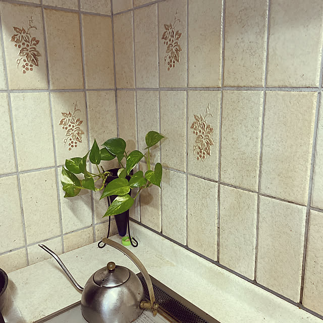 観葉植物/キッチンのインテリア実例 - 2021-05-04 19:29:18