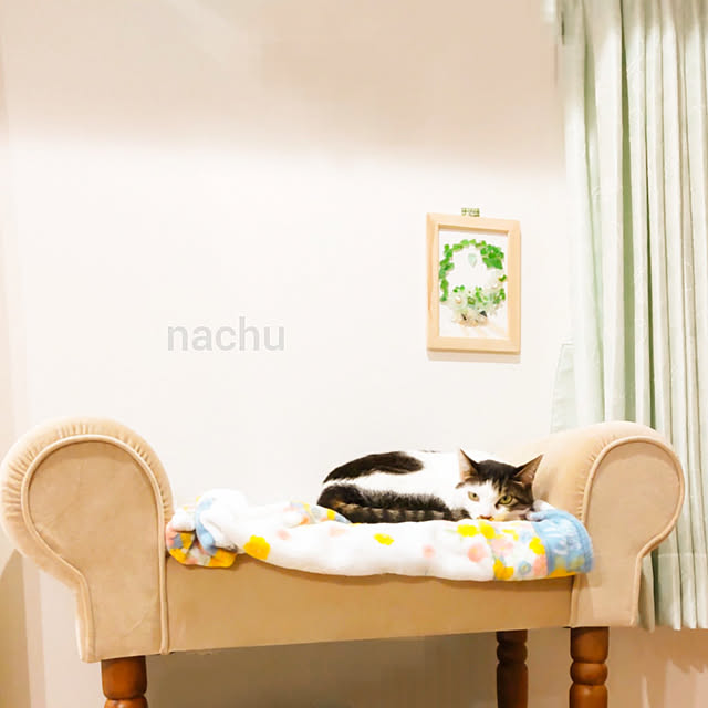 nachuさんの実例写真