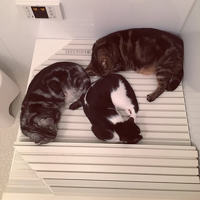 mikomaruさんの実例写真