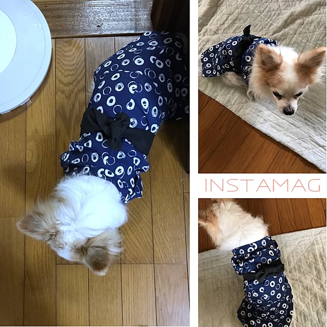 seroriさんの実例写真
