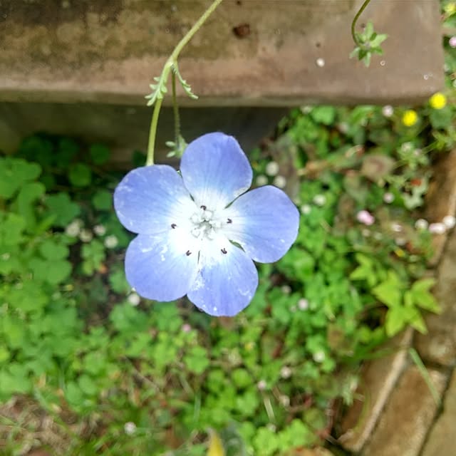 Rさんの部屋