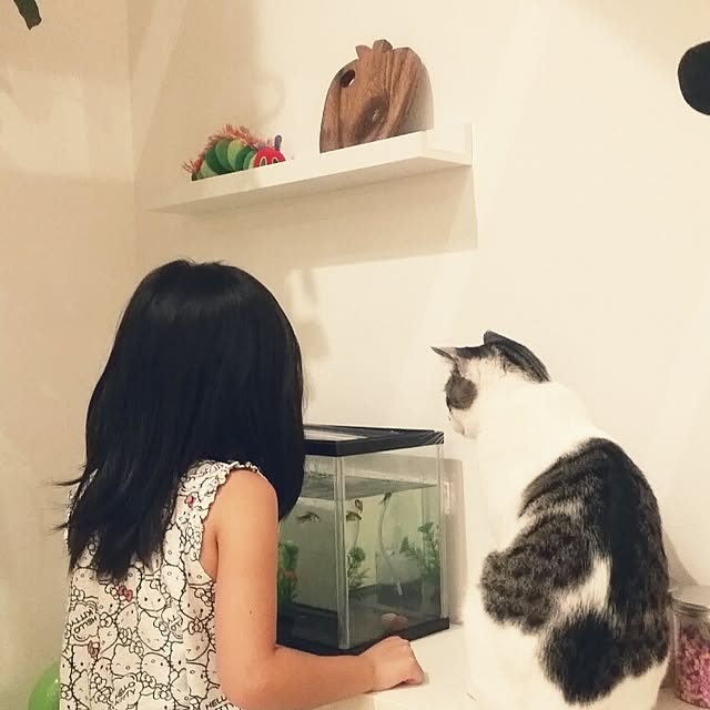 runayucoさんの実例写真