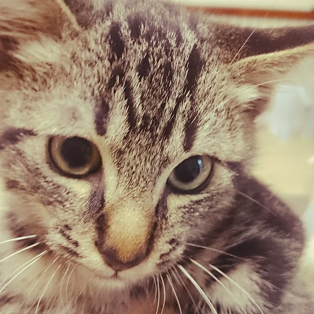 Tamaさんの実例写真