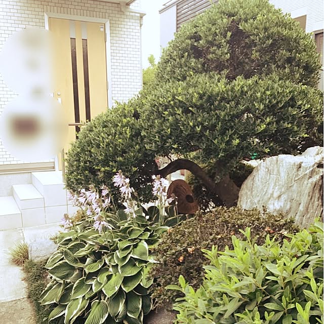 BUNさんの実例写真