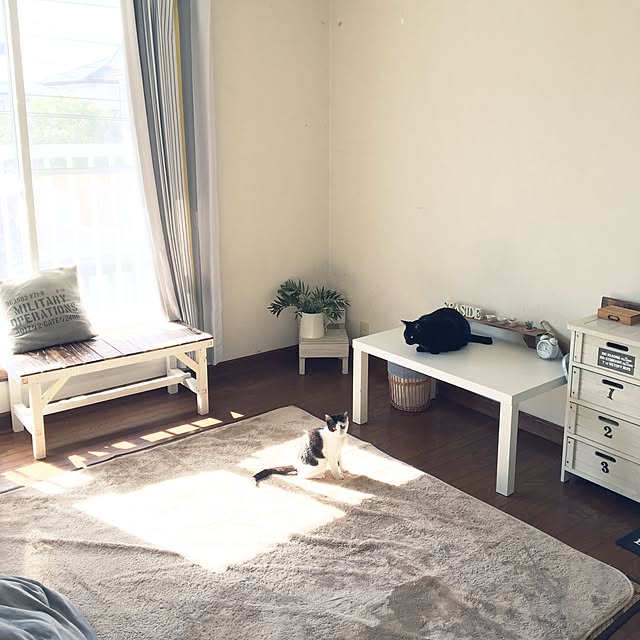 mahi1101さんの実例写真