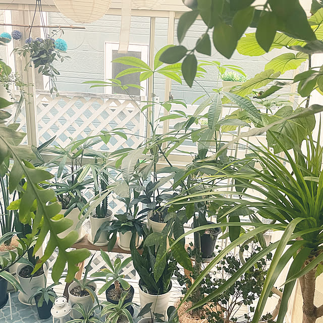 kanakoさんの部屋